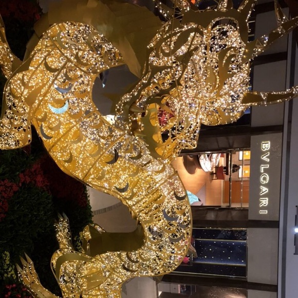 Meet your Posher, Llaly - Picture 1 of 1